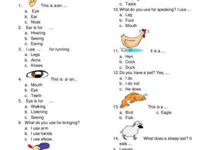 Ternyata Ini 5 Rahasia Mengerjakan Soal Bahasa Inggris Kelas 1 Agar Anak Cepat Pintar