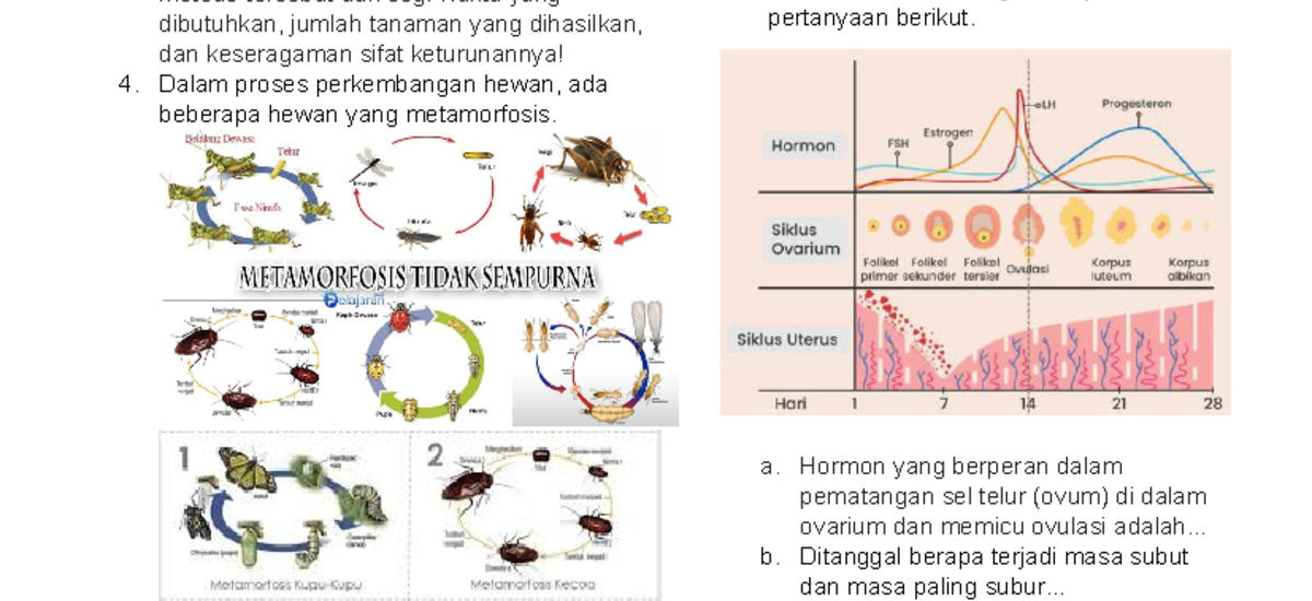 5 Contoh Soal Kelas 3 Tema Pertumbuhan dan Perkembangan Makhluk Hidup yang Wajib Dikuasai