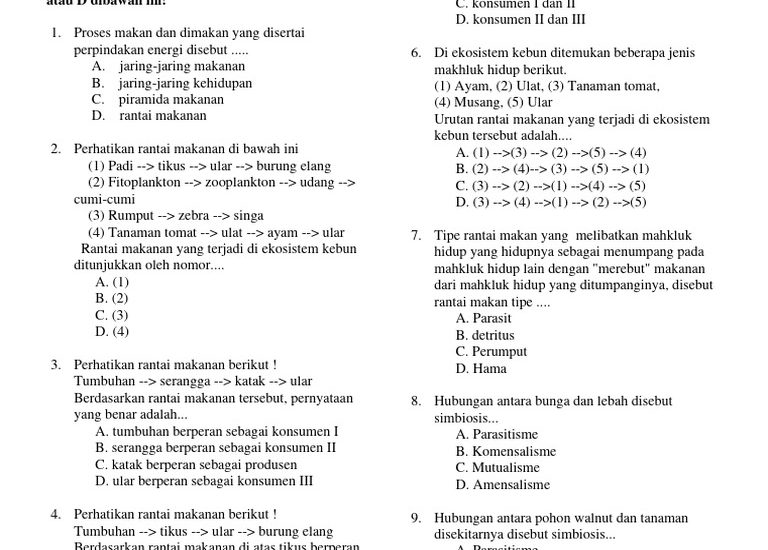 7 Fakta Mengejutkan Soal PTS IPA Kelas 7 Semester 2 yang Wajib Tahu Siswa