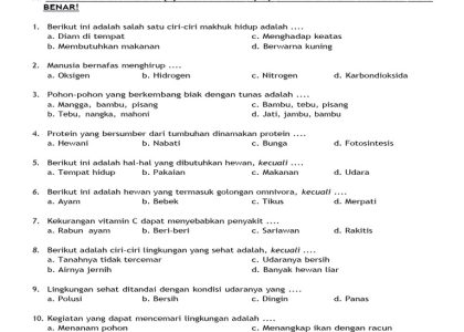 Download Soal Ujian Semester Ganjil Kelas 3 Tema 4, Ternyata Ini Rahasia Nilai Bagus yang Jarang Diketahui