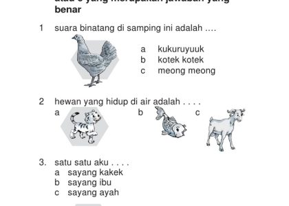 Ternyata Ini Rahasia Dapatkan File Download Soal Ujian Tema 4 Kelas 1 SD Siap Cetak untuk Lembar Kerja Siswa